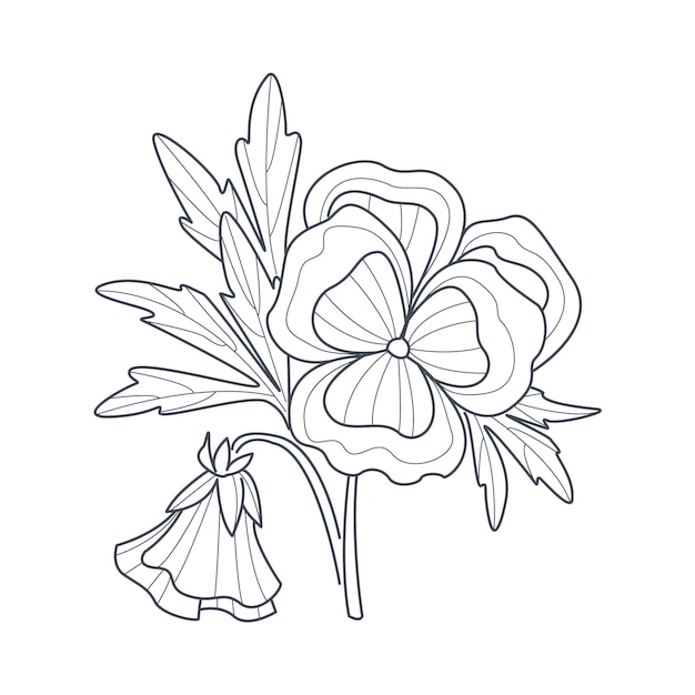 Pansy Flower Monochrome Drawing For Coloring Book