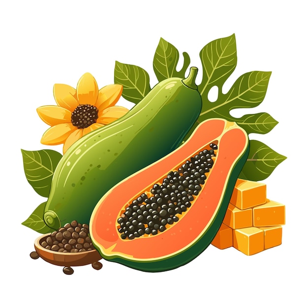 Papaya clipart vector illustration on white background