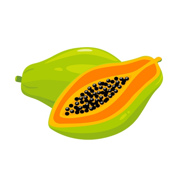 Papaya cut fruit. Isolated vector illustration.