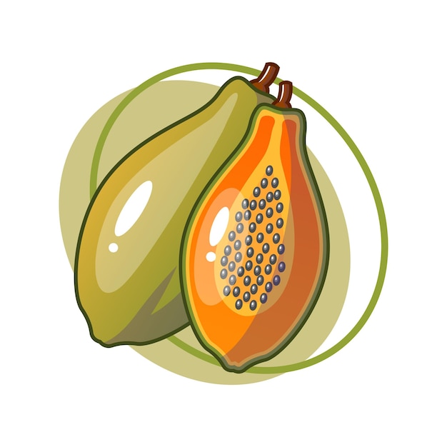 Papaya fruit drawing illustration design