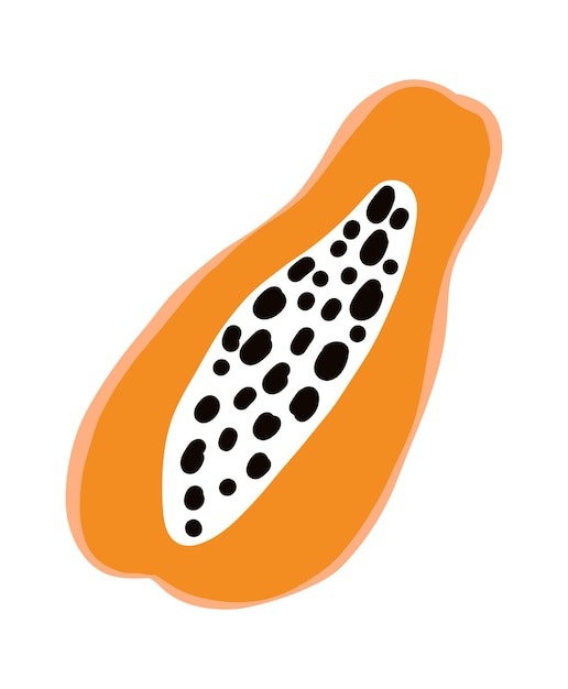 Papaya fruit tropical doodle agriculture vector exotic food icon