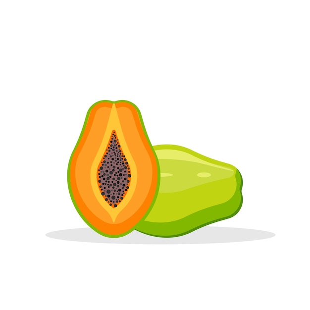 Papaya isolated on white background Vector illustration