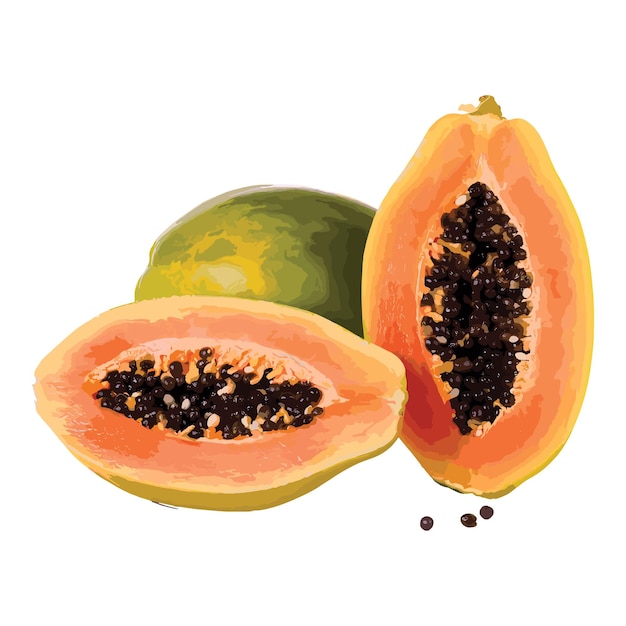 Papaya isolated on white background