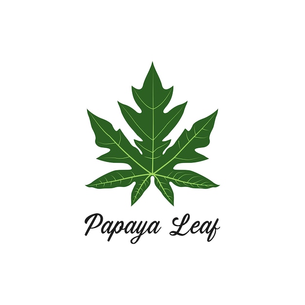 Papaya leaf logo design vector template