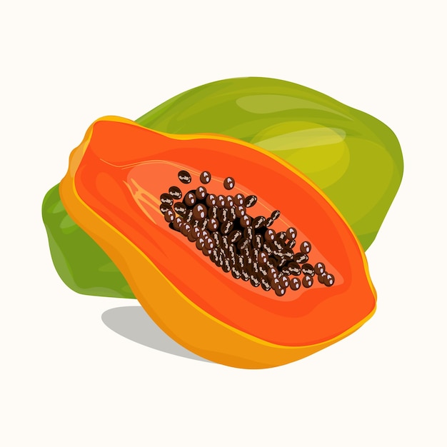 Papaya slice and whole fruit in flat style vector illustration