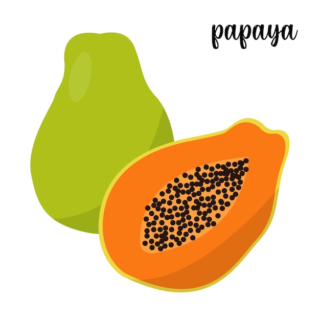 Papaya Vector.  Fresh Papaya Illustration