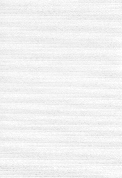 Vector paper canvas painting drawing white