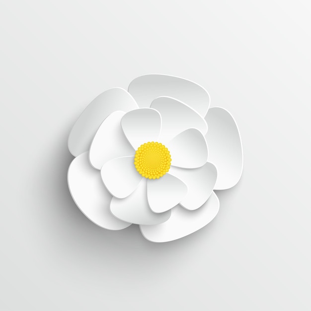 Vector paper flower chamomile daisies on white background white flowers cut out of paper