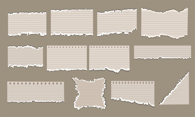 Vector paper torn collection flat design