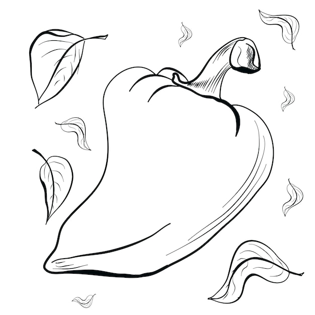 paprika bell pepper with leaves doodle drawing vector illustration