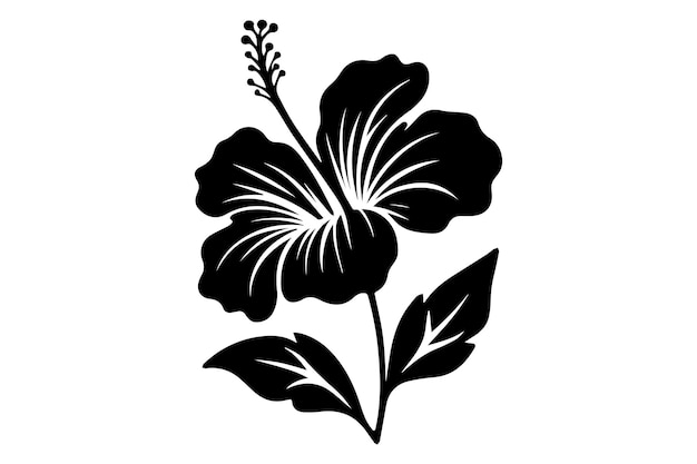 Vector paradise leaf monochrome hibiscus vector silhouette