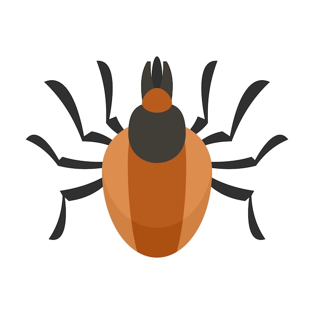 Parasite mite icon Flat illustration of parasite mite vector icon for web design