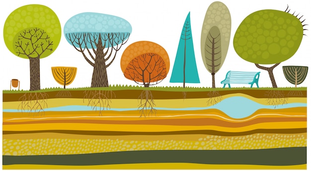 Park trees illustration