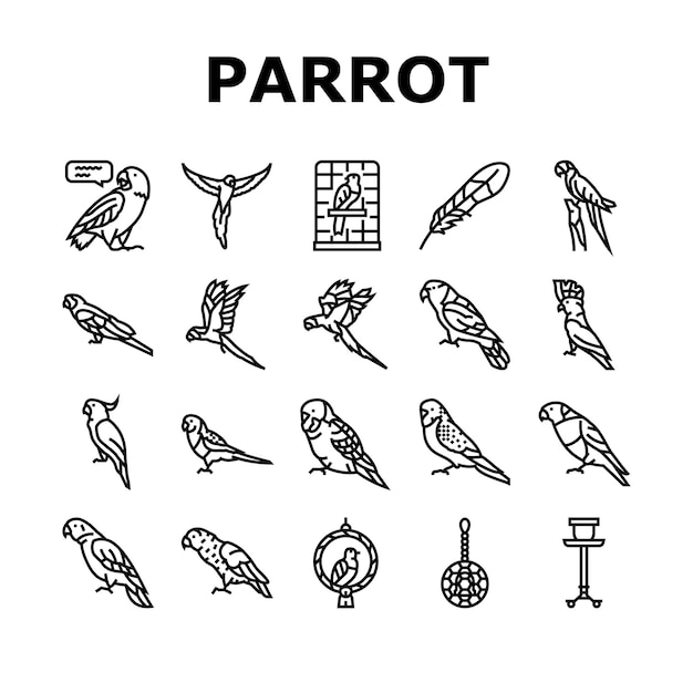 parrot bird blue animal tropical icons set vector macaw blue yellow wildlife nature feather red bright wing wild ara parrot bird blue animal tropical black contour illustrations