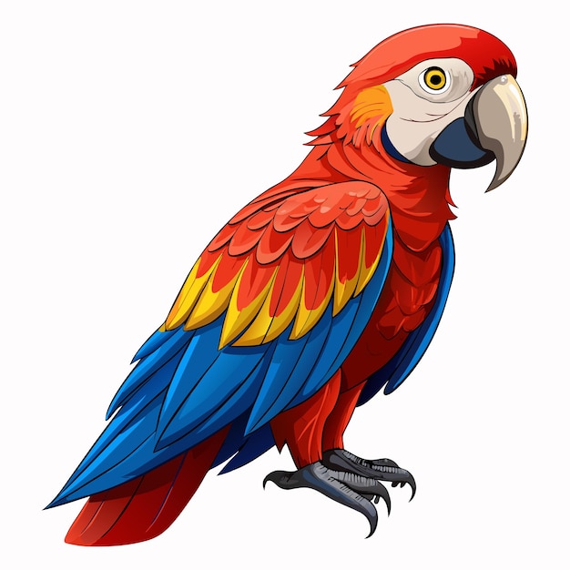 Parrot clipart vector illustration