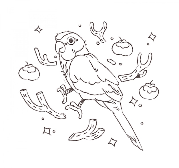 Parrot doodle