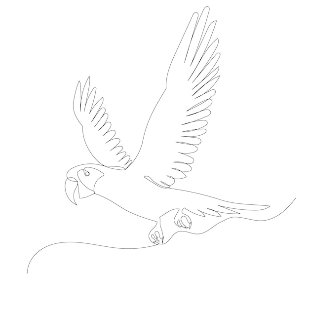 Parrot drawing by one continuous line, sketch