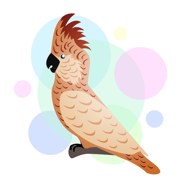 Parrot in flat design vector illustration EPS10