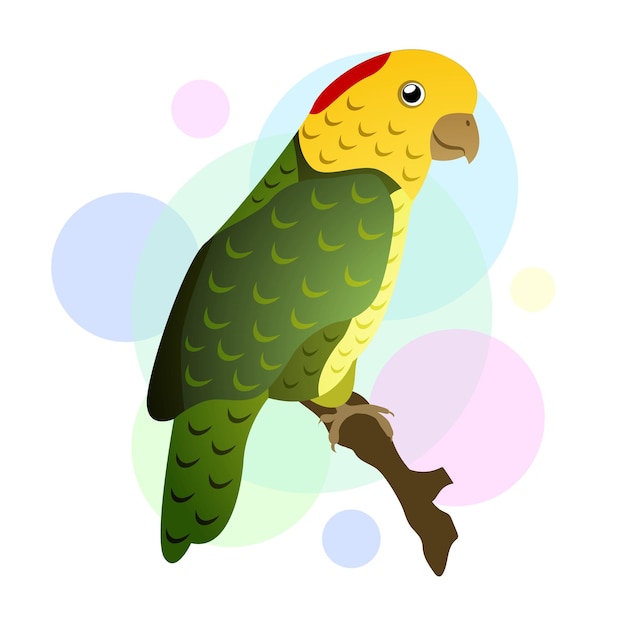 Parrot in flat design vector illustration EPS10