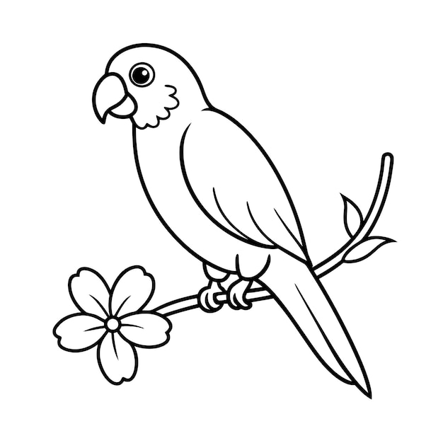 Parrot and flower coloring pages