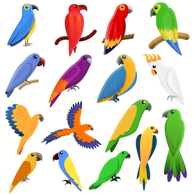 Parrot icons set, cartoon style