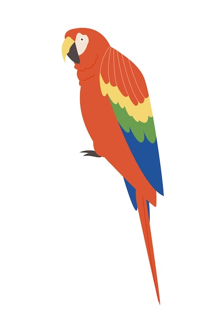 Parrot perched on a branch Realistic hand drawn style illustration