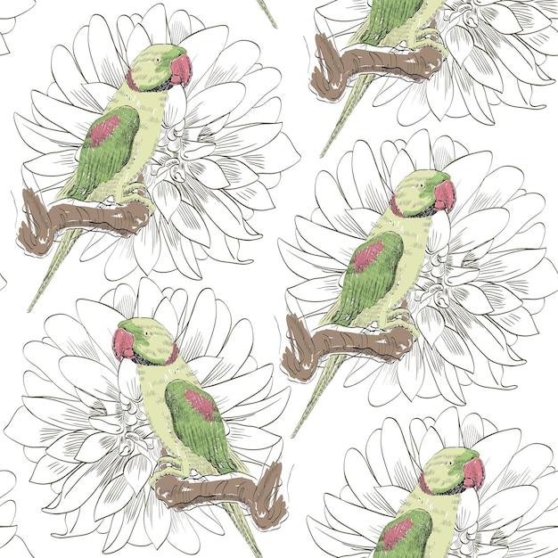 Parrot Seamless pattern