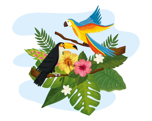 Parrot with toucan and leafs nature