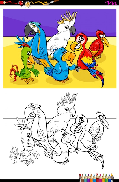 Parrots animal characters group color book