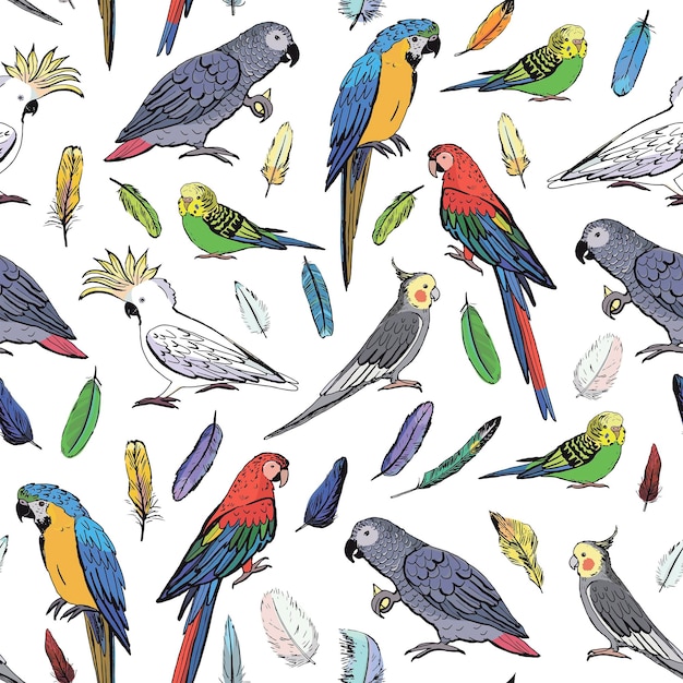 Parrots birds vector seamless pattern