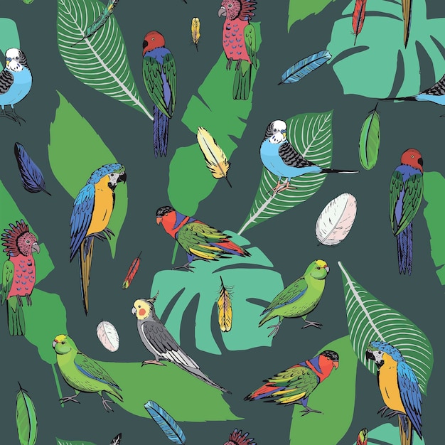 Vector parrots birds with tropical leaves vector seamless pattern