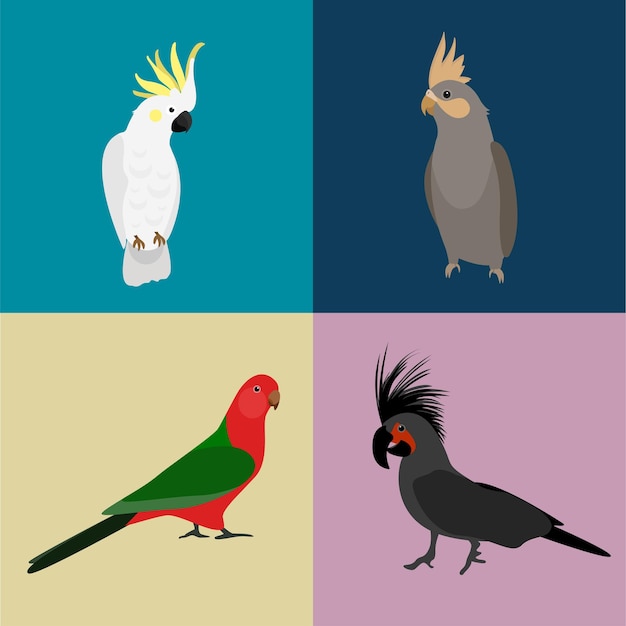 Vector parrots set