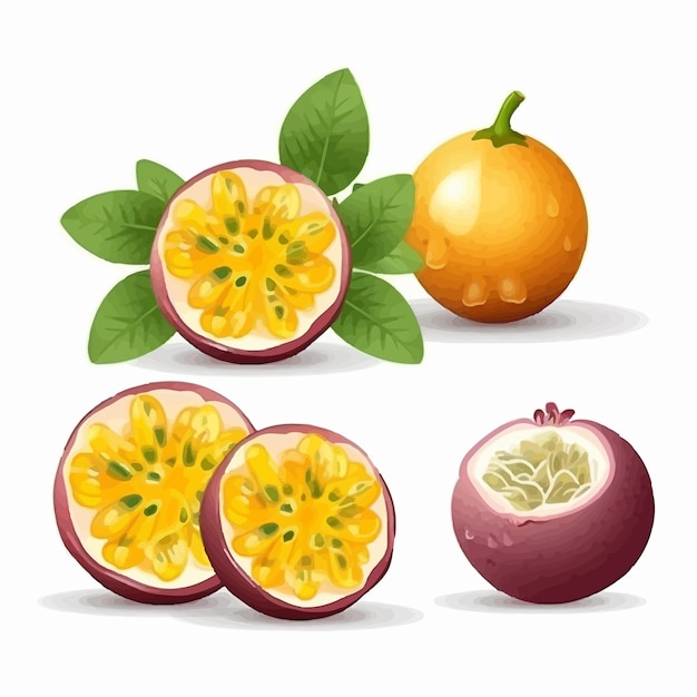 Passion Fruit vector illustration with a tropical vibe