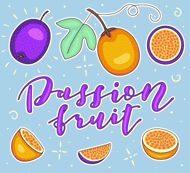 Passion fruit Whole and pieces Vector stock illustration Colored fruit set