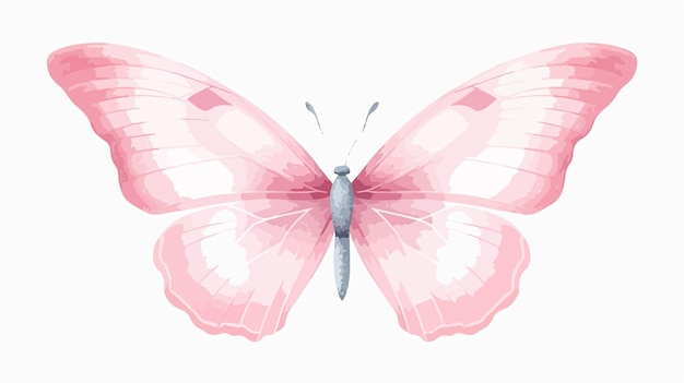 Pastel Pink Butterfly Isolated on White Background