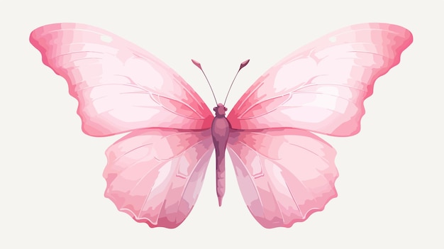 Pastel Pink Butterfly Isolated on White Background