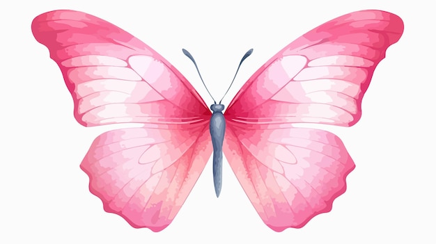 Pastel Pink Butterfly Isolated on White Background