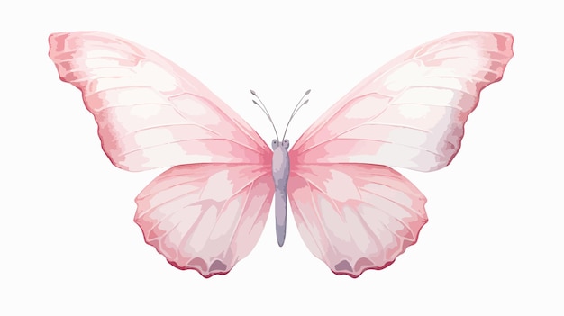 Pastel Pink Butterfly Isolated on White Background