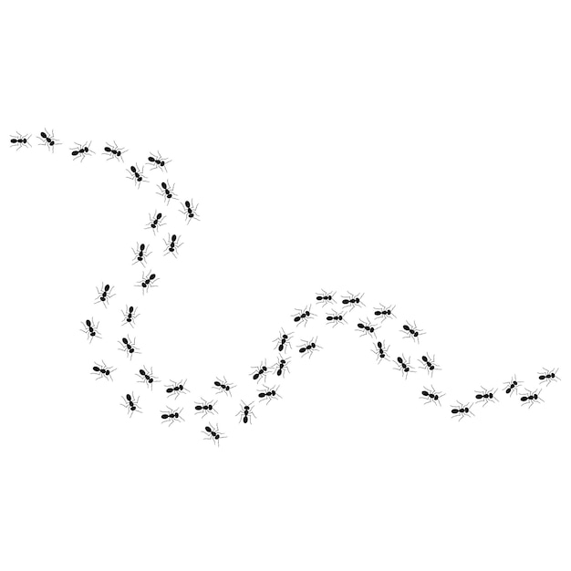 A path of ants running up View from above Vector illustration in flat cartoon style