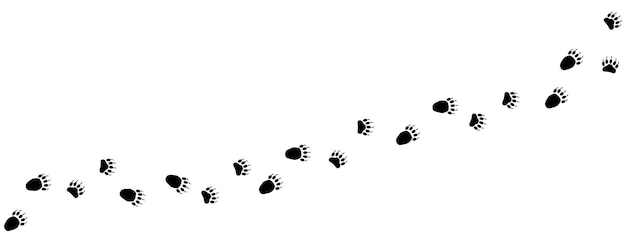 Path of bear footprints Tracks of paw prints of bear panda grizzly bear Silhouette Bear trail Vector