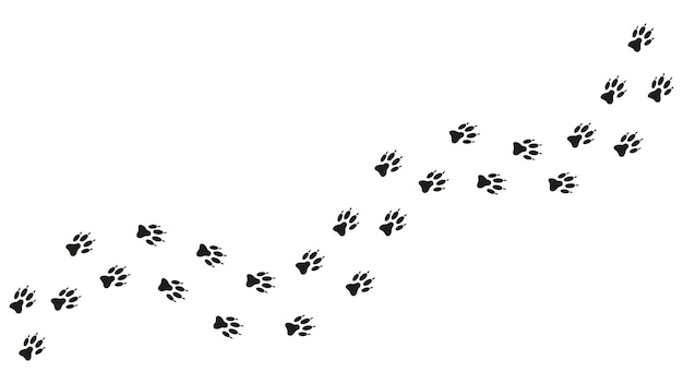 Path footprints of dog puppy wolf fox Dog paw print silhouette Track Vector Wolf trace Pet shop