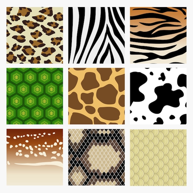 pattern collection of animal skin. Including snake, deer tiger turtle giraffe cow zebra leopard.