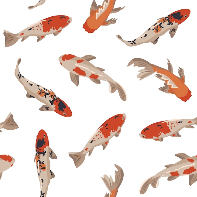 A pattern of koi fish with a white background