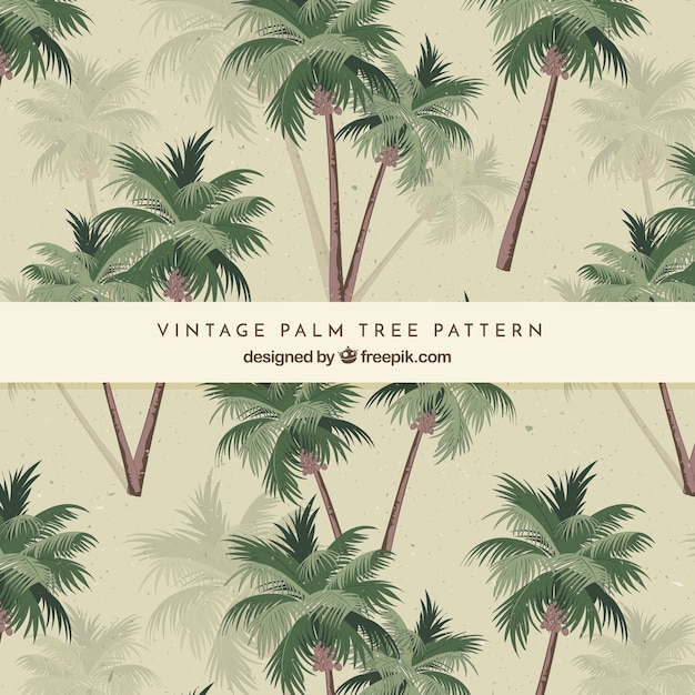 Vector pattern of palm trees in vintage style