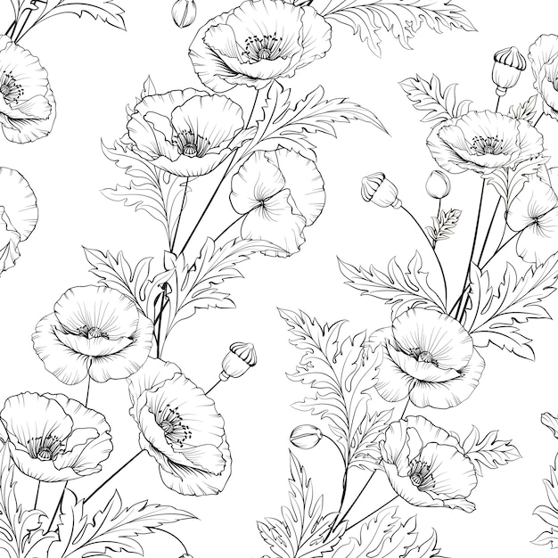 Pattern of poppy flowers on a white background.