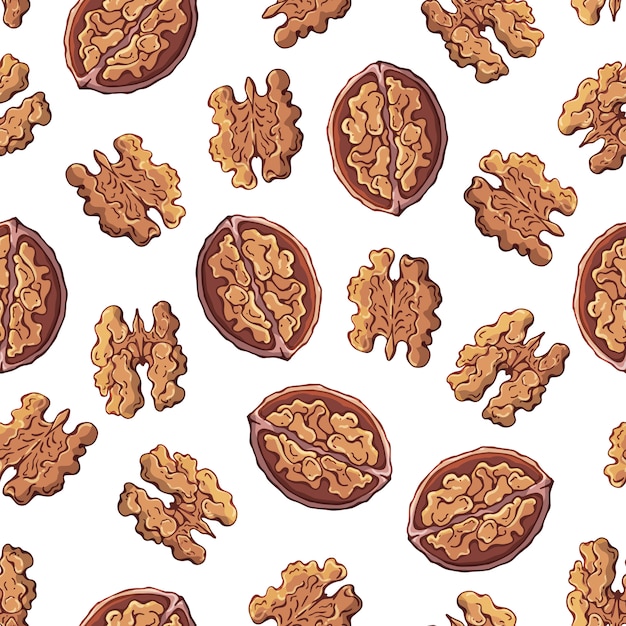 Pattern of vector illustrations on the nuts theme