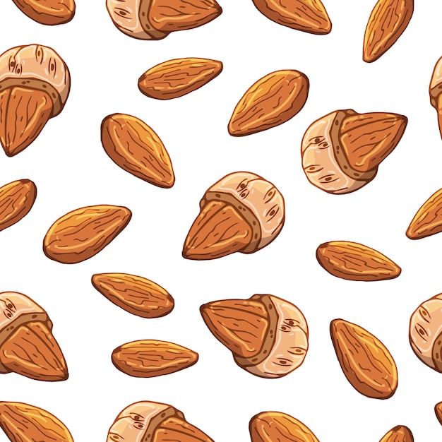 Pattern of vector illustrations on the nuts theme.