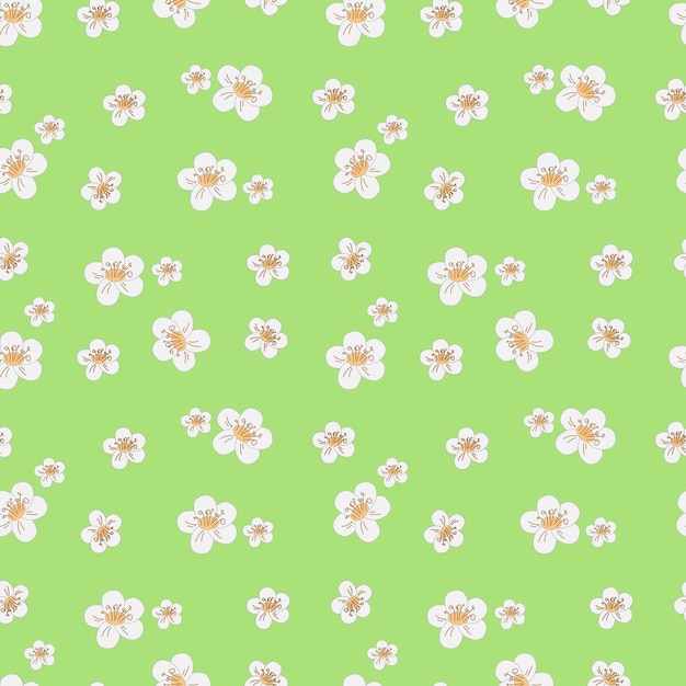 Pattern white spring flowers on green background