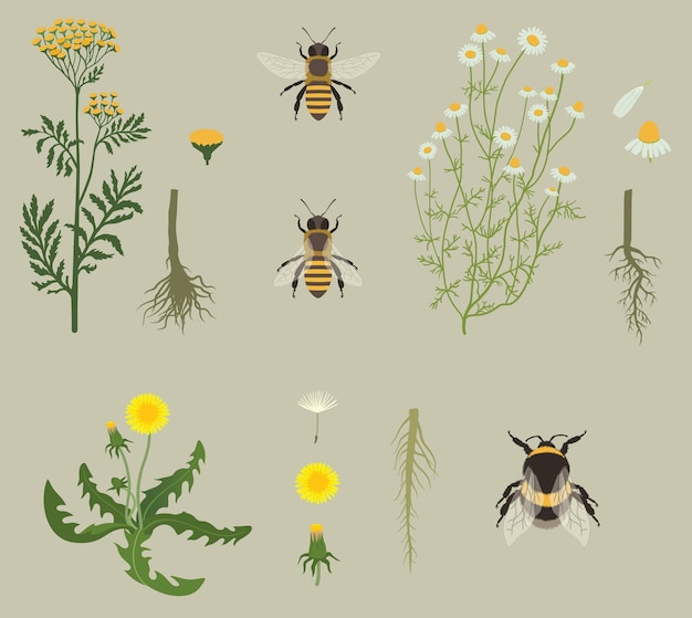 Vector pattern with bees and yellow flowers