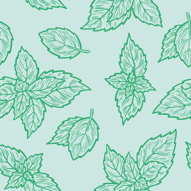 Vector pattern with mint leaves